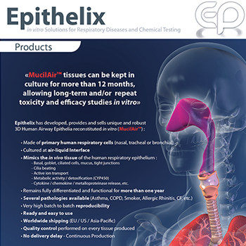 Modélisations 3D pour une brochure médicale – Epithelix
